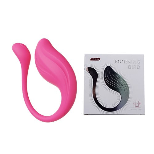 The morning bird vibrator